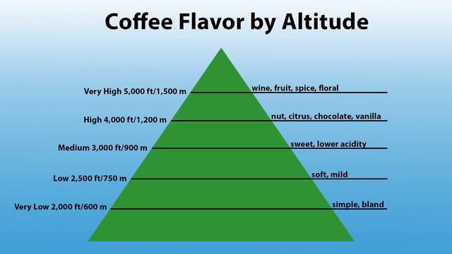 How Coffee Growing Altitude Affects Flavor смотреть онлайн