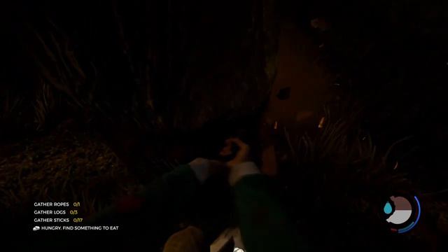 The Forest 2# Nooooooo Queee