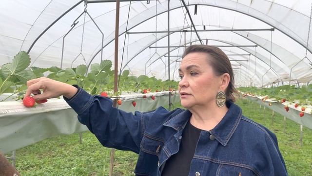 Новый нейтрал в 