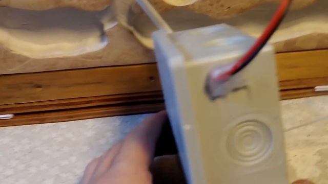 Вечный террариум для муравьёв смотреть онлайн