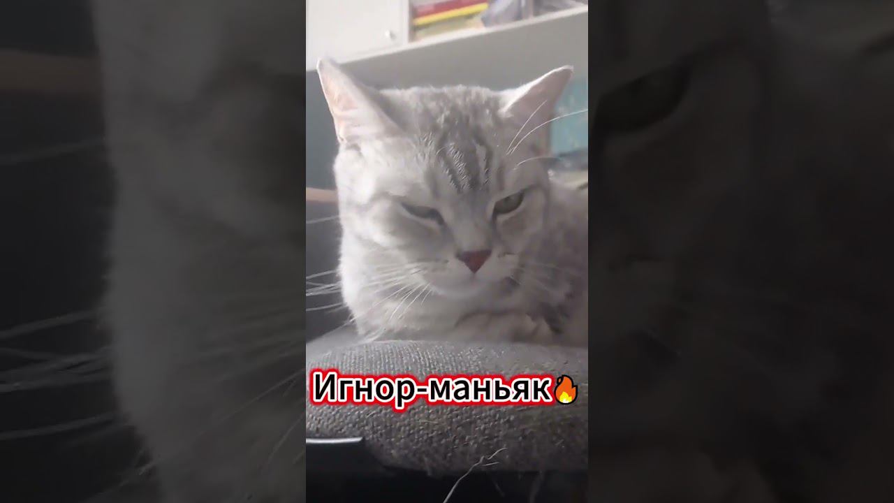 #shorts #sounds #recommended #4k #4kvideo #беззвука #интересно #2024 #нг #имялуна #games #proof смотреть онлайн