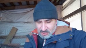 Вьетнамские свиньи в холода.