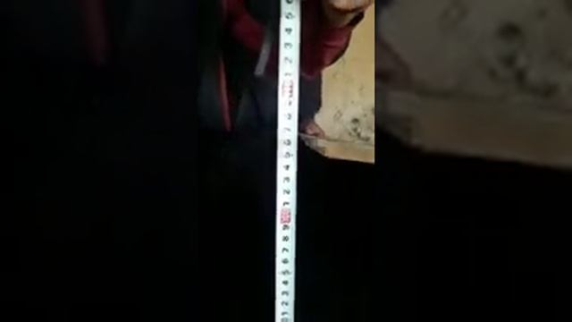 Годовалые кошкары производители смотреть онлайн