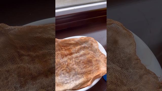 ??? Проращиваем чечевицу ???Полезные ростки здоровья ??? смотреть онлайн