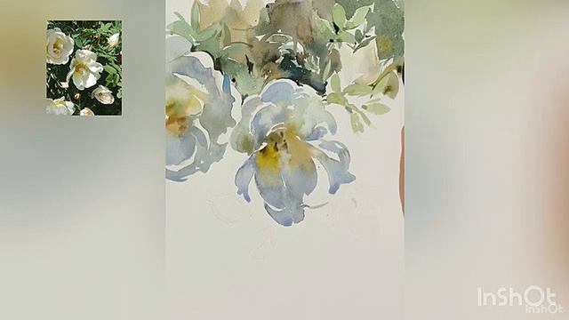 Белые розы.  Марина Ласаева #акварель #watercolor