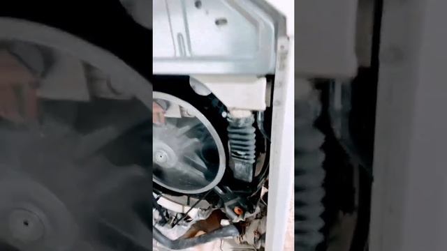 Miele смотреть онлайн
