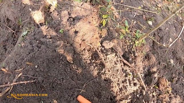 ПОИСК КЛАДА в лесу часть 3. ??? НАШЕЛ КЛАД на лесной поляне. Нашел клад металлоискателем. Кладомани смотреть онлайн