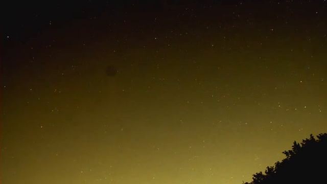 В поисках Жирафид смотреть онлайн