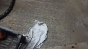 Случка кроликов без охоты 100% результат