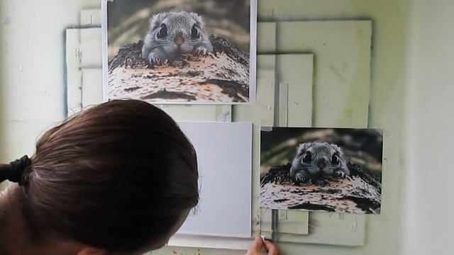 Белка. Часть первая. Изготовление трафарета, смешивание краски, подготовка рабочего места. смотреть онлайн