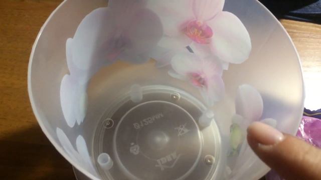 VLOG: Моя Первая Орхидея * Посадка Орхидеи * 13.10.2018 смотреть онлайн