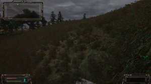 Тайник Коллекционера на Кордоне в районе Тунеля ОП 2