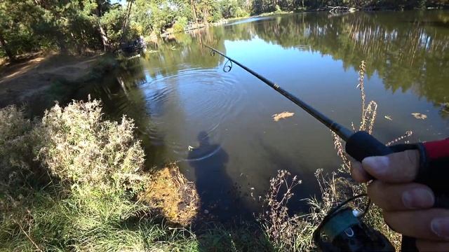 Воблер TsuYoki BINGO 125F-403 смотреть онлайн