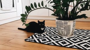 Мастер-класс: Вязанный крючком геометрический скандинавский коврик / жаккард без протяжек