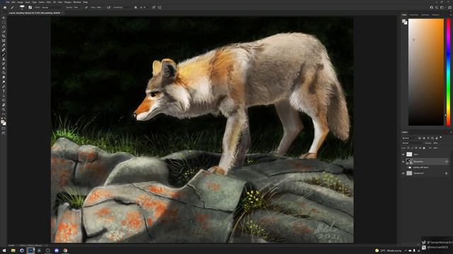 How to backup the preferences of Adobe Photoshop? смотреть онлайн