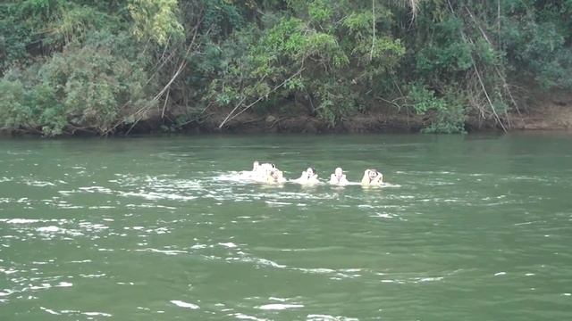 Салон красоты среди Джунглей. смотреть онлайн