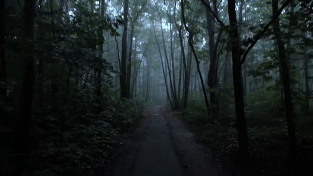 Осознанные сновидения St. George смотреть онлайн