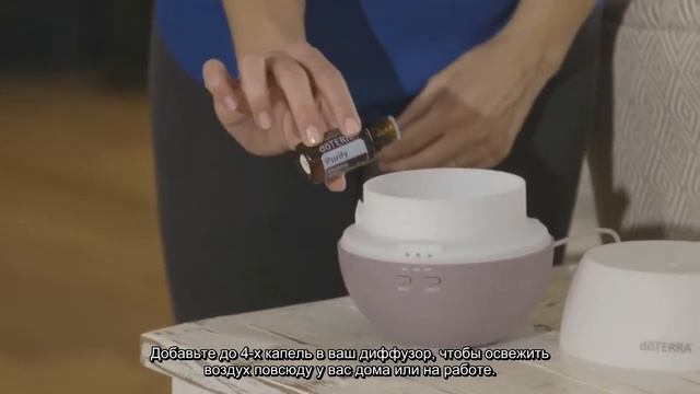 Одна капля знаний от doTERRA каждый день –День 14 Освежайте с PURIFY смотреть онлайн