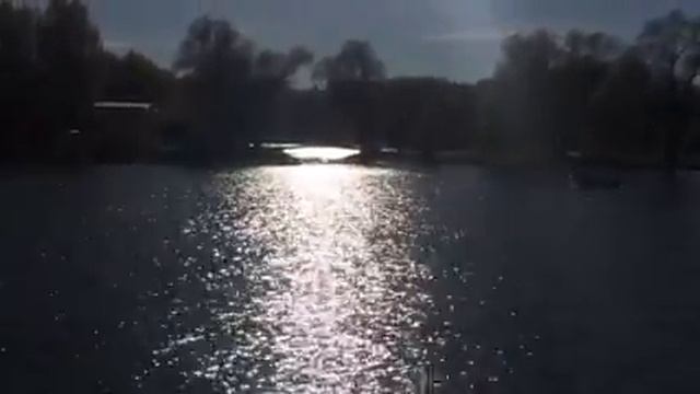 Великолепный Золотой Свет! смотреть онлайн
