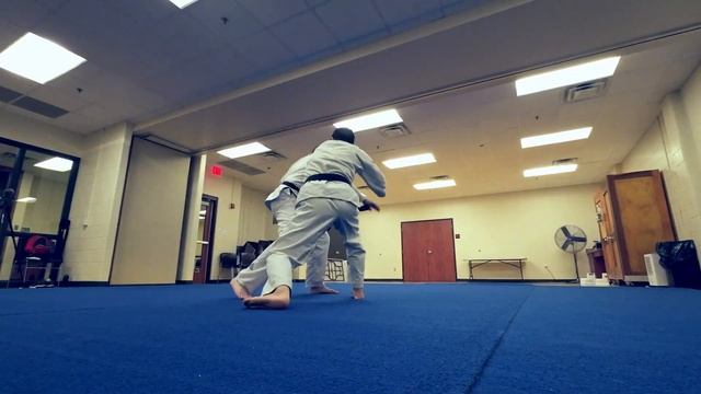 Aikido McLean: Technique, Kaiten-nage Omote & Ura variations and throws смотреть онлайн