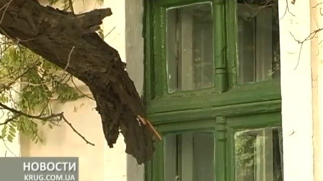 Разрушить дом и убить дерево смотреть онлайн