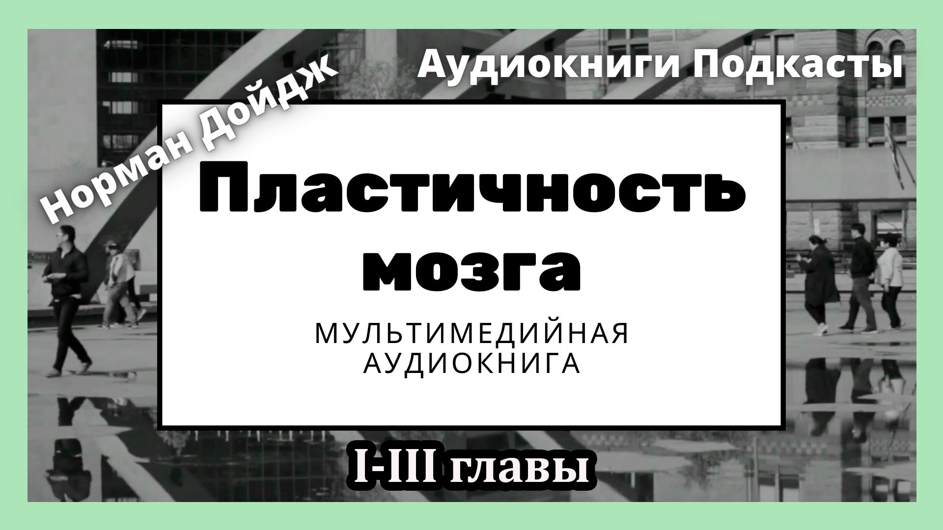 Пластичность мозга 1-3 главы Мультимедийная аудиокнига смотреть онлайн