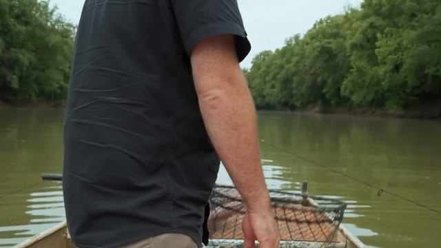 Let's Catch Some Fish | GREAT VALUE (2023) EP15 смотреть онлайн