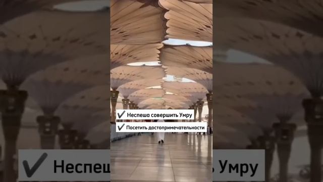 Делаем визы в КСА вацап +201556422434 #Visa #Tourists #Cheaply #Umrah смотреть онлайн