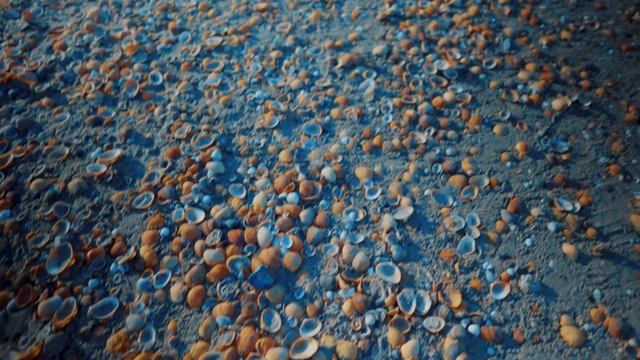 Каспийск - Махачкала смотреть онлайн