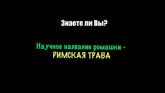 Знаете ли Вы? #16 смотреть онлайн