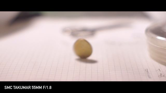 SONY ALPHA A6000 VIDEO QUALITY TEST смотреть онлайн
