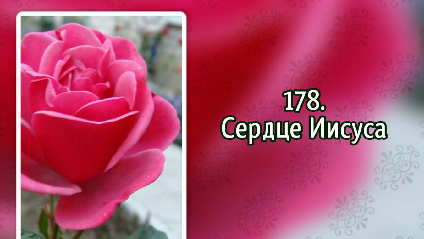 Гимны надежды 178 Сердце Иисуса (-) смотреть онлайн