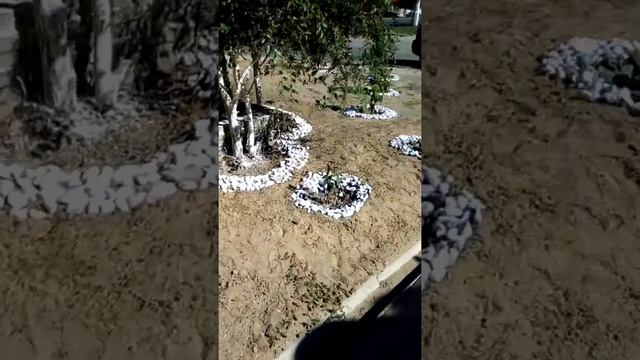 Волгоград Спартановка, вот так девчата облагародили участок перед своей работой. Супер. смотреть онлайн