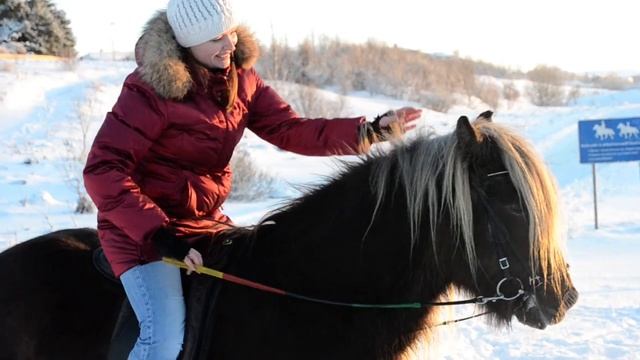 Оля на исландской лошадке смотреть онлайн