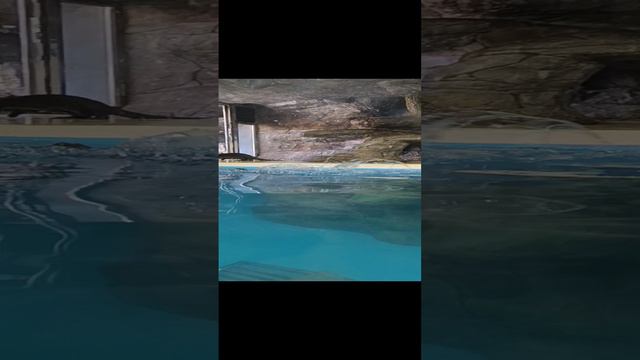 1000001290.mp4 смотреть онлайн