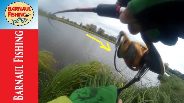 ЩУКА СЛОМАЛ СПИННИНГ! Лучший мой бюджетный спиннинг MAXIMUS WINNER (Barnaul Fishing)