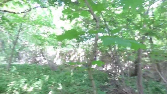 Коп монет у барской усадьбы. смотреть онлайн
