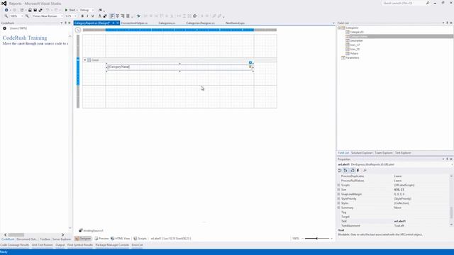 DevExpress Reporting: Bind to XPO смотреть онлайн