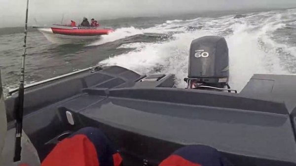 Rib Fortis 575 Katana