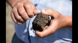 Организация системы севооборотов. Технология No-Till. КФХ "Потапов".