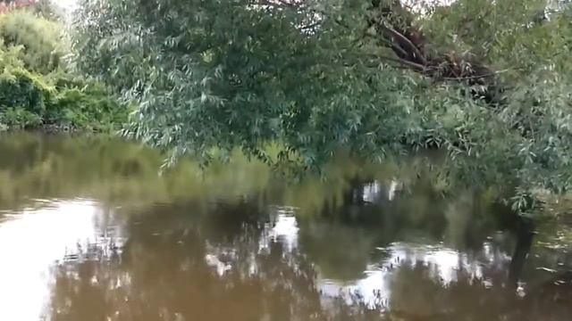 Чистые пруды - Игорь Тальков ... смотреть онлайн