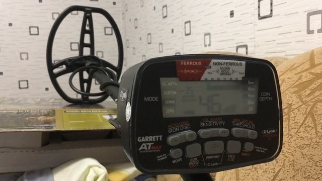 АТ Макс бесится в квартире