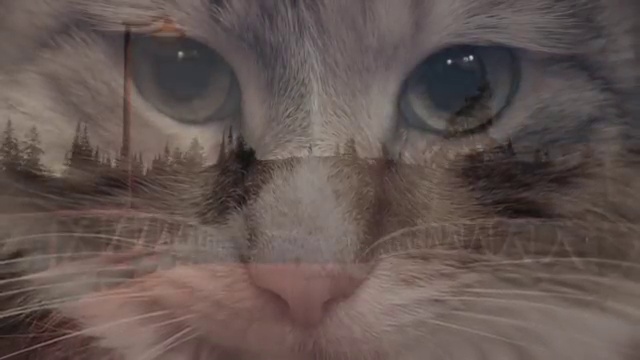 Колыбельная 'За печкою поет сверчок' Lullaby about Сricket смотреть онлайн