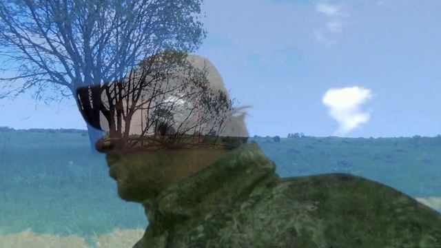 Старинный царский свисток офицера РИА или жандарма. смотреть онлайн