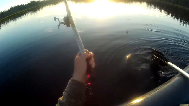 Думали, что клёва уже не будет, но карельская ламбина не подвела. Крупная щука на спиннинг и удочку смотреть онлайн