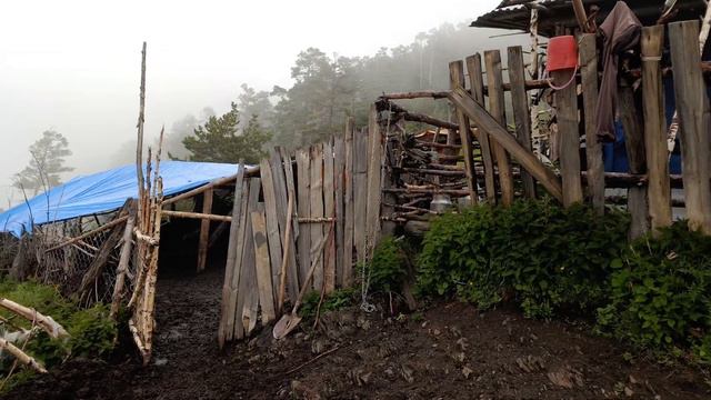 Зиярат, Нойрух, поляна Цамаури и туманная гора в Тляратинском районе Дагестана