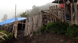 Зиярат, Нойрух, поляна Цамаури и туманная гора в Тляратинском районе Дагестана