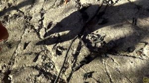 Установка М бампер БМВ Е39