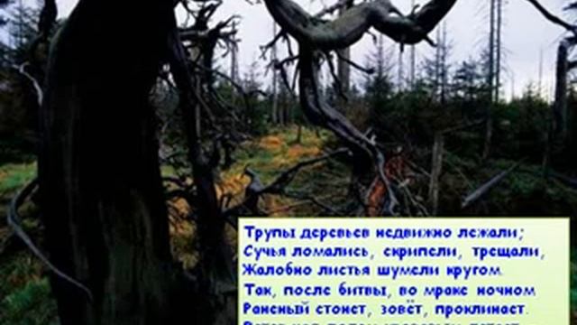 Не губи природу, будь человеком! смотреть онлайн