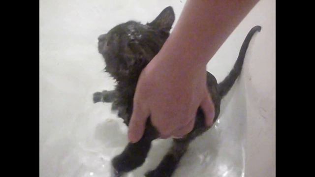 не люблю я мыться !!! :-( смотреть онлайн